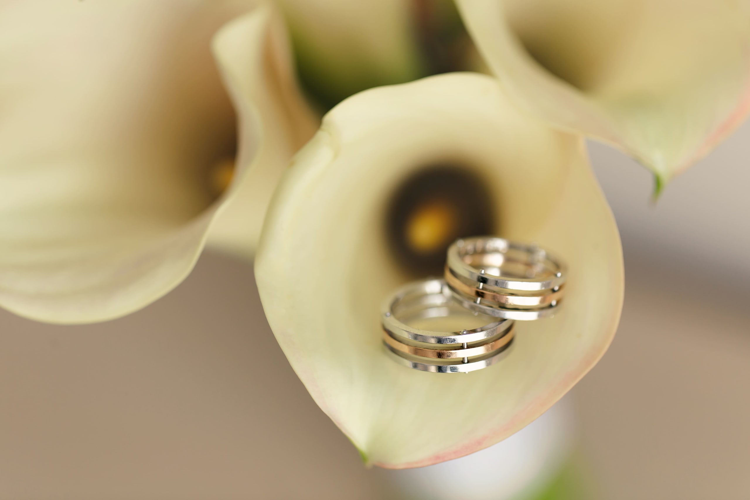 wedding-gold-rings-with-a-bouquet-of-calla-lilies-2022-02-15-16-12-39-utc
