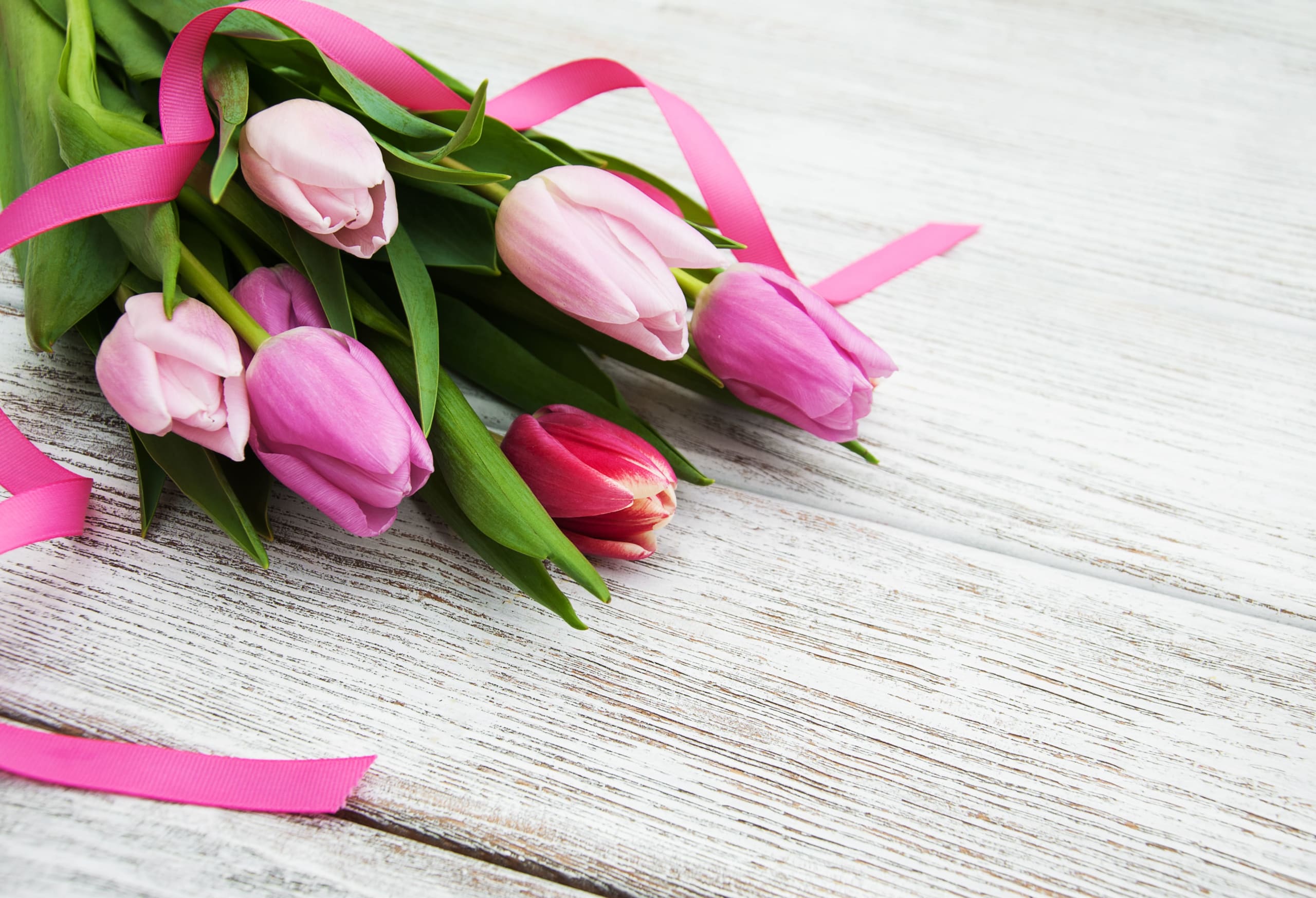 spring-tulips-flowers-2022-02-15-15-36-27-utc