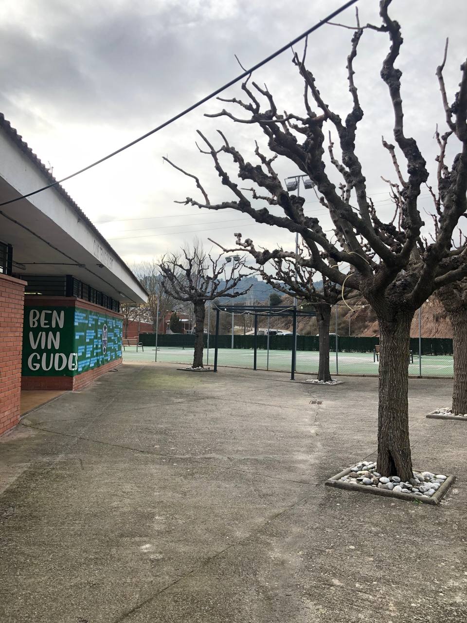 Instal·lacions del club 14