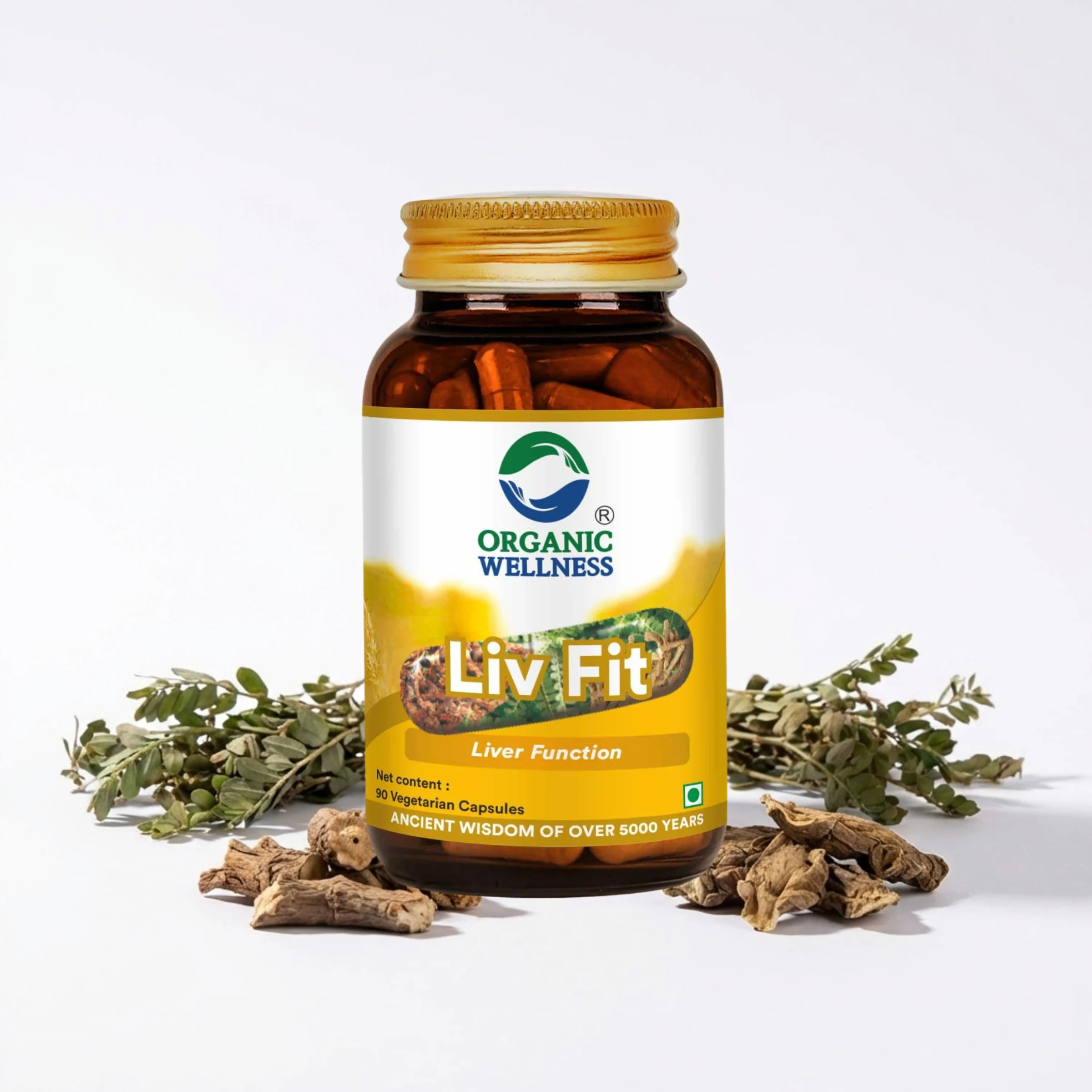 Organic Wellness Liv Fit 90 N Veg Capsules | Detox & Repair Fatty Liver Formula | For Healthy Liver || Best Capsule for Liver