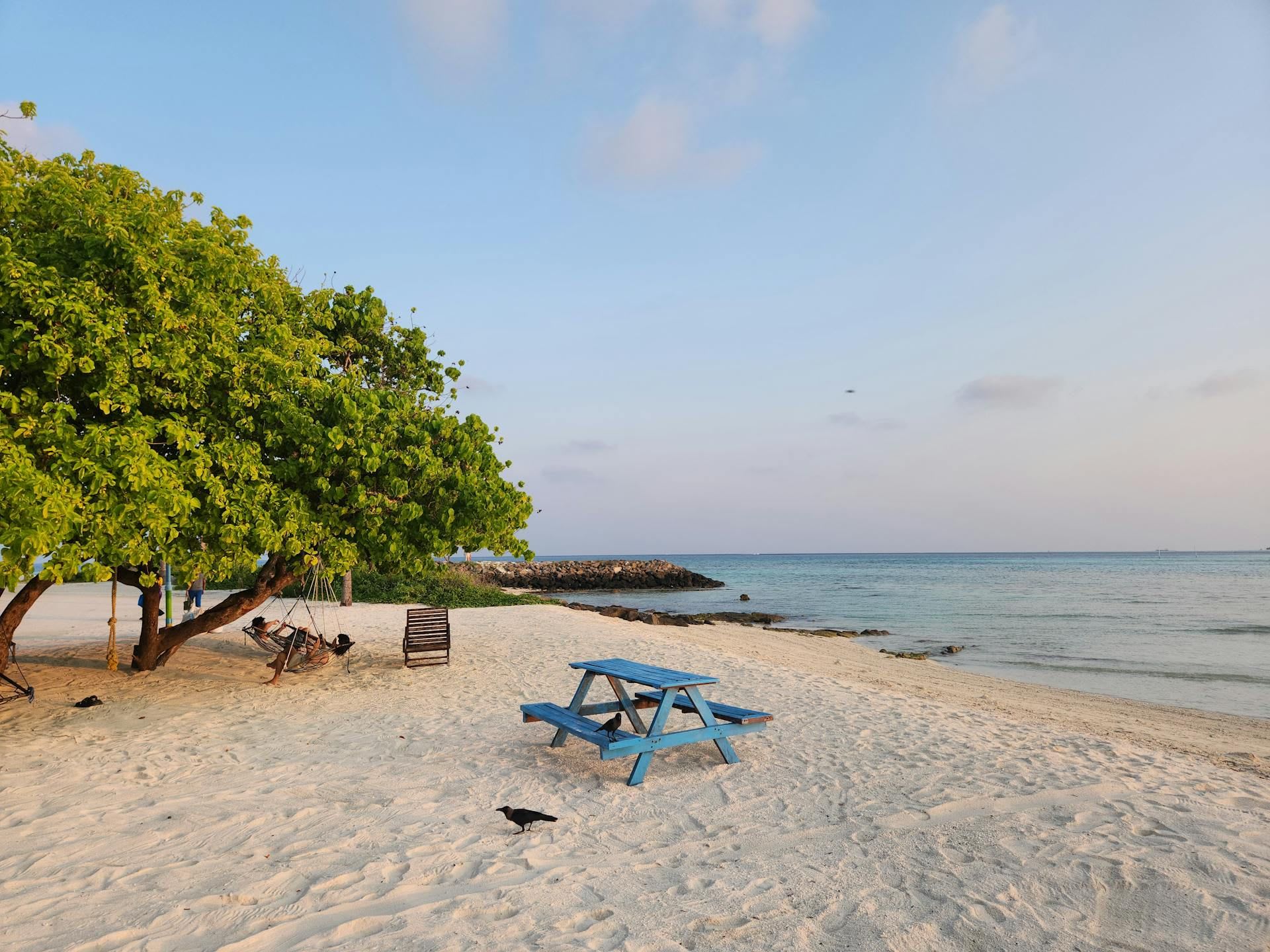 Guesthouse tourism: the Maldives Maldivians actually enjoy