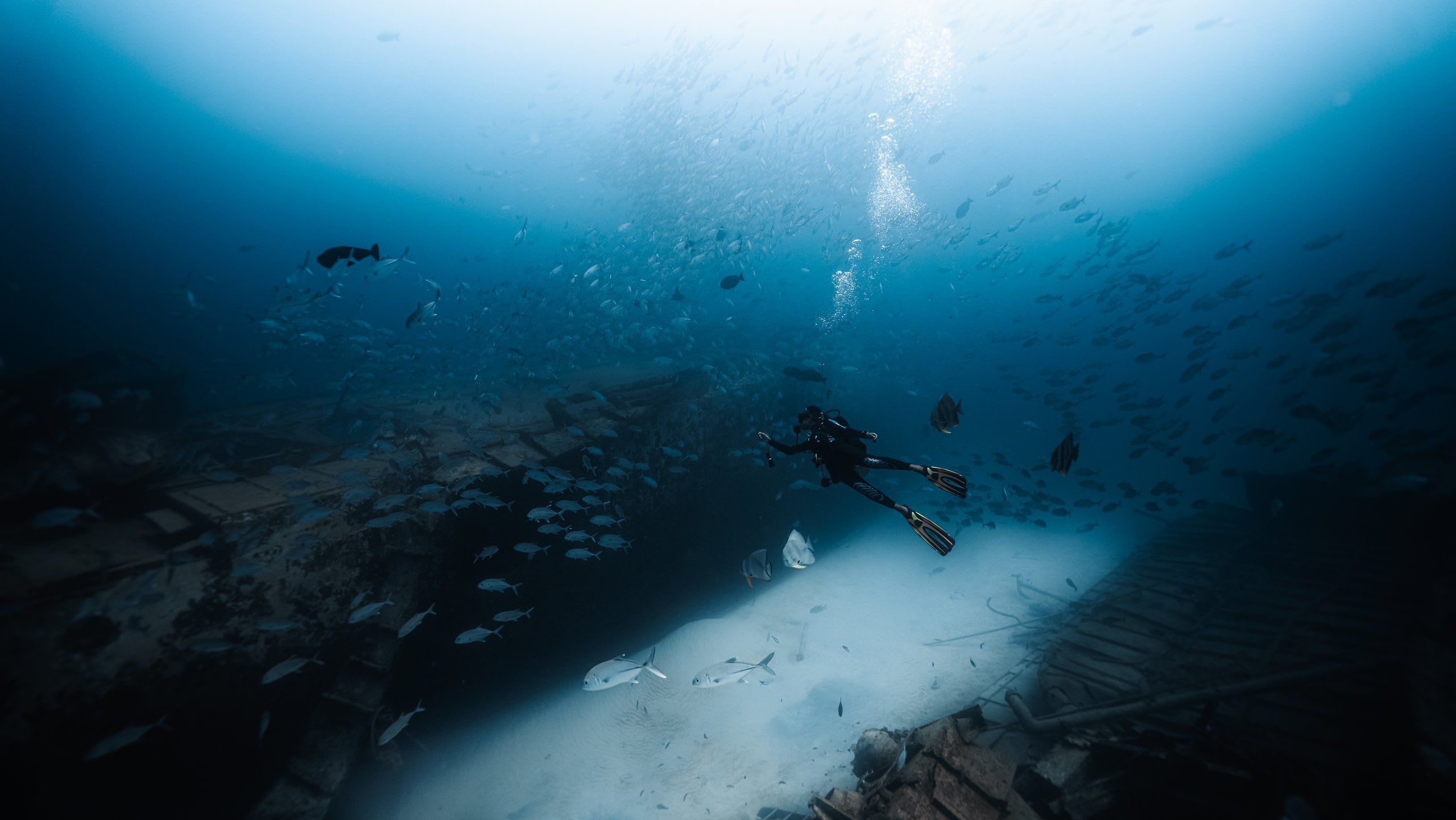 Siyam World Launches Wreck-to-Reef Dive Site in Noonu Atoll