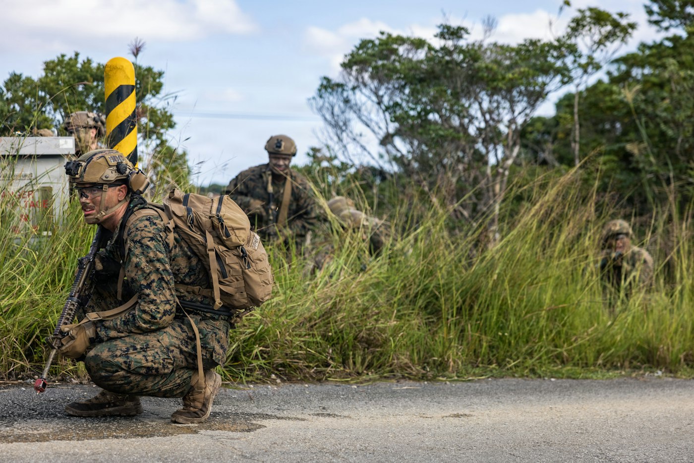 Marines in camouflage gear crouch in tall grass