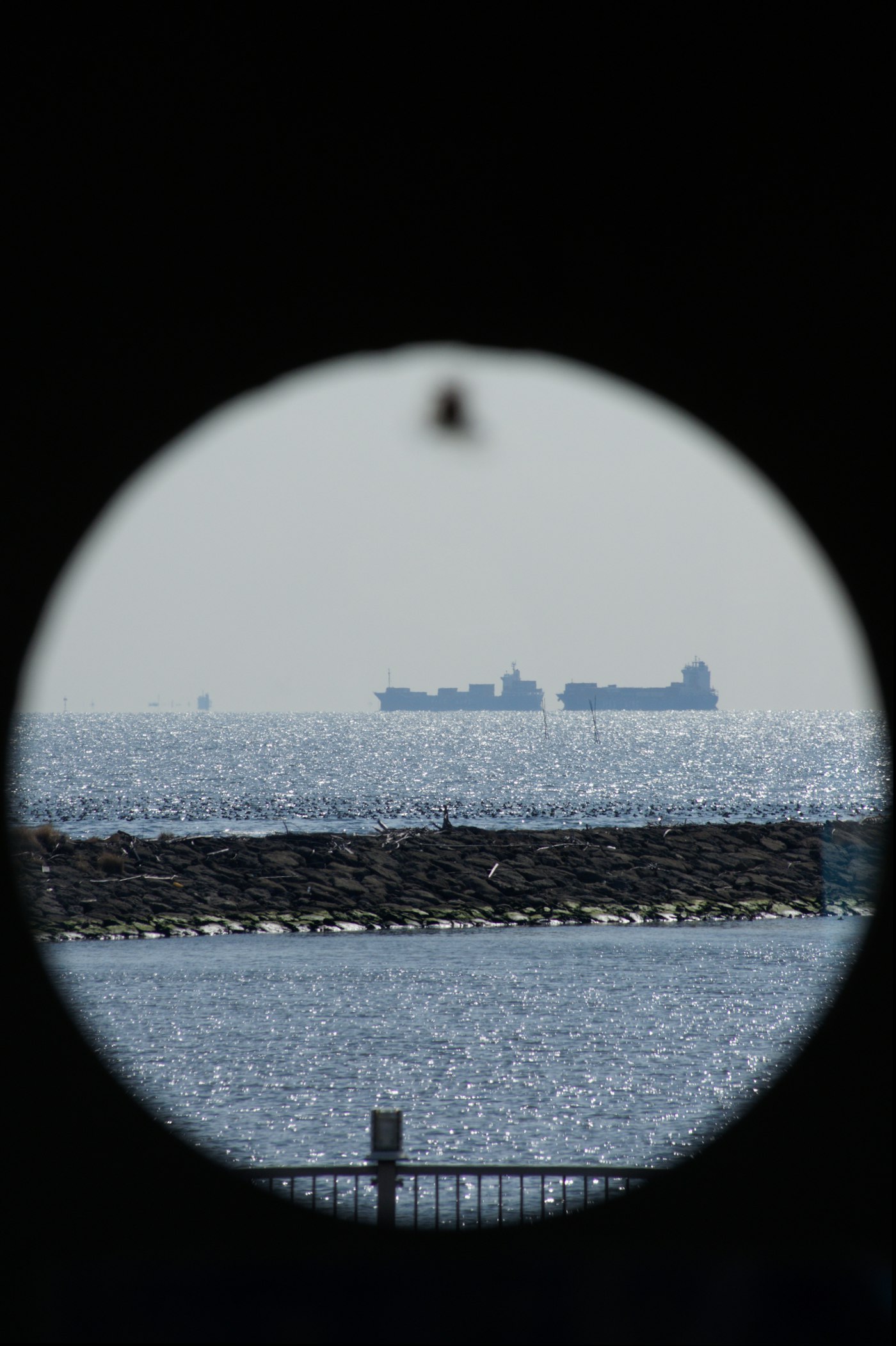 Cargo ships sailing on a shimmering ocean horizon