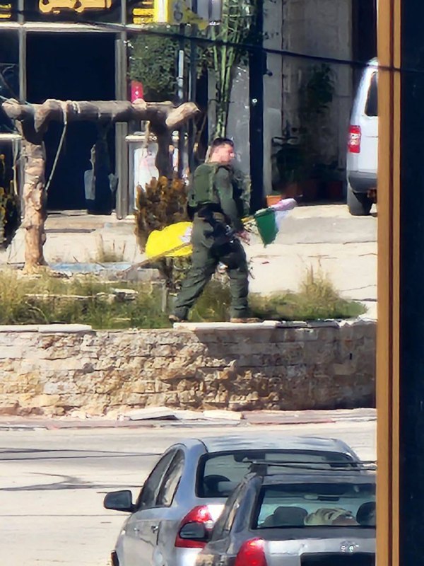 صورة إضافية