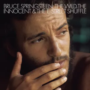 The wild, the innocent and the E Street shuffle