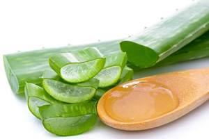 Cara Mengatasi Psoriasis dengan Lidah Buaya Cara Mengatasi Psoriasis dengan Lidah Buaya