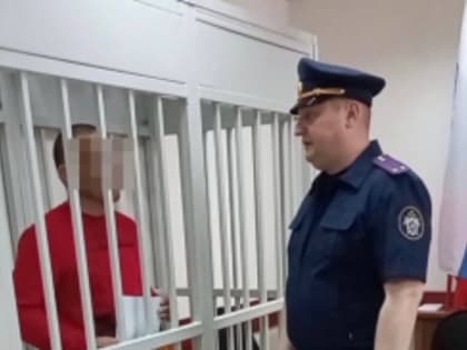 В городском округе Щелково гражданину одного из соседних государств предъявлено обвинение в причинении тяжкого вреда здоровью своей дочери, а также избрана мера пресечения