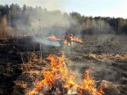 Шесть пожаров ликвидировано на территории лесного фонда Подмосковья за три майских дня