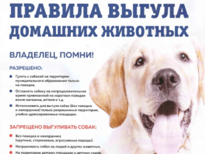 НАПОМИНАЕМ ОБ ОПАСНОСТИ БЕШЕНСТВА ПЛОТОЯДНЫХ