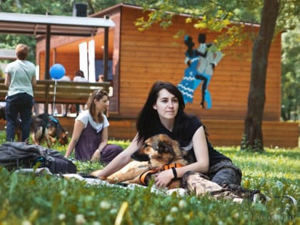 Фестиваль «Собаки в городе» пройдёт в Москве 25 июня