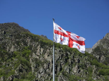Член ОП Данюк заявил о существующем внутриполитическом напряжении в Грузии