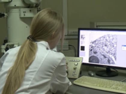 В России выявлен первый случай заболевания "кракеном"