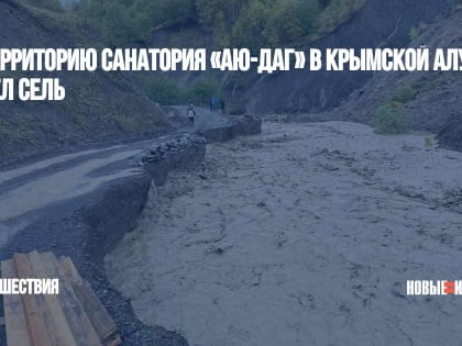 На территорию санатория «Аю-Даг» в крымской Алуште сошел сель