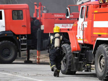 Под Воронежем возник пожар на многолюдном пляже