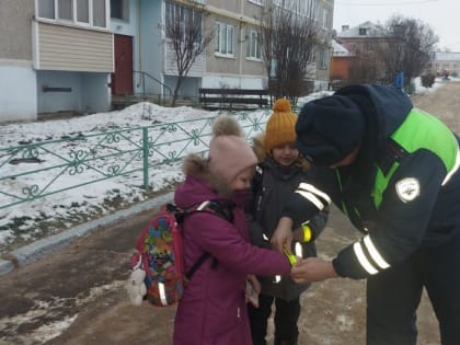 Сотрудники Госавтоинспекции провели акцию «Безопасный двор» в сельской местности г.о. Кашира