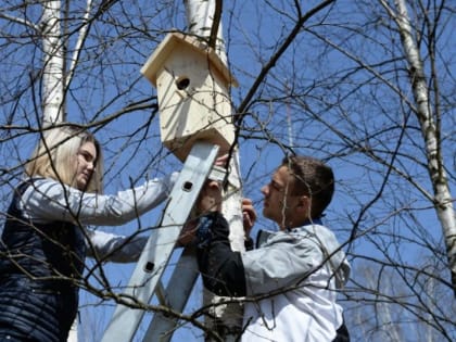 Школьное лесничество «Лукоморье» помогает восстанавливать популяцию птиц в Клину