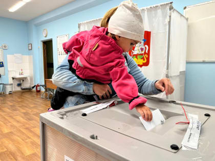 Близятся к завершению выборы губернатора Московской области