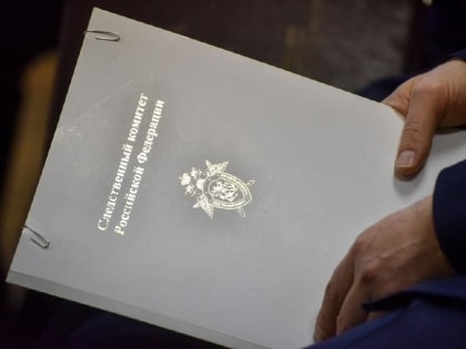 Председатель СК РФ потребовал доклад по делу о избиениях подростков в Химках