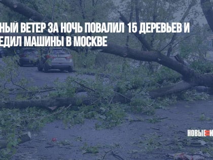 Сильный ветер за ночь повалил 15 деревьев и повредил машины в Москве