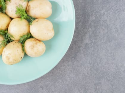 В Дмитровском округе заработал тепличный комплекс с оборудованием, не имеющим аналогов в России