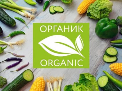 Стартовал конкурс лучших достижений в развитии органической продукции