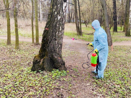 Шатурский городской парк имени Гагарина и парк «Крестов брод» в Рошале обработают от клещей до конца мая