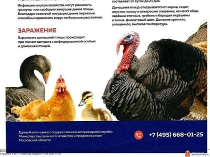 Жителей Домодедово предупреждают о выявлении случаев птичьего гриппа