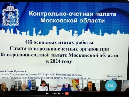 Председатель Контрольно-счетной палаты приняла участие в заседании Совета контрольно-счетных органов при КСП Московской области