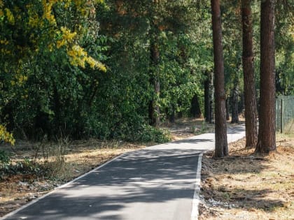 Одобрено народом – включено в программу!    В городском округе Щёлково продолжает действовать программа «Пешком»