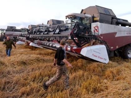 Bloomberg: Россия будет доминировать на мировом рынке зерна после ухода из страны крупных трейдеров