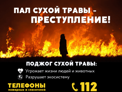 Жителям Городского округа Коломна рассказали, чем страшен пал и как избежать его опасных последствий