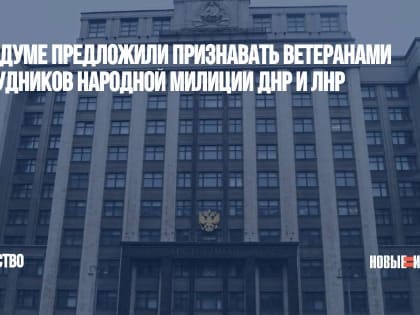В Госдуме предложили признавать ветеранами сотрудников Народной милиции ДНР и ЛНР