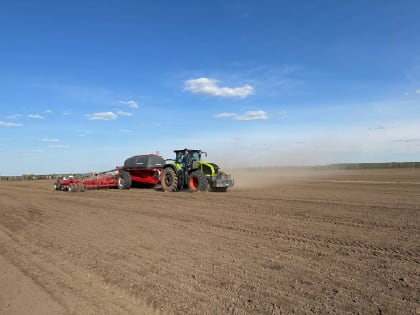 В Московской области озимыми засеют 104,5 тыс га