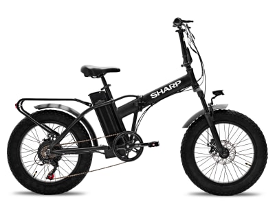 SHARP FM02EB_mod.jpg