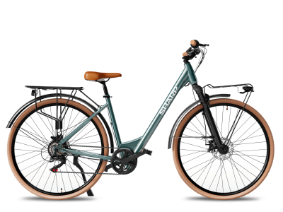 SHARP DM02EGN_mod.jpg