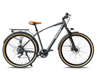 SHARP DM03EB_mod.jpg