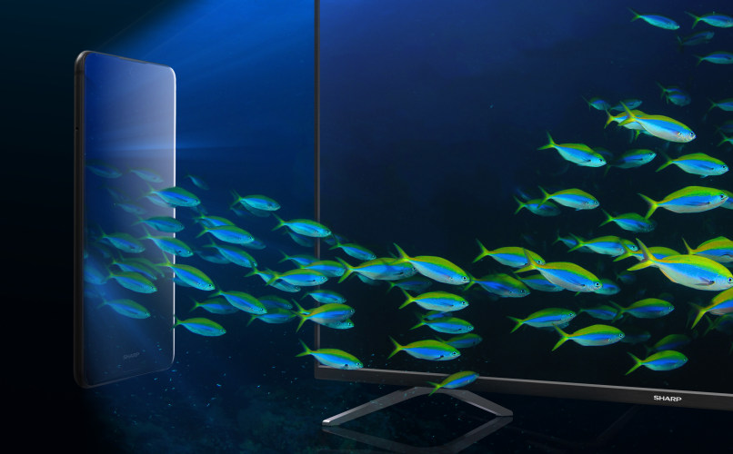 Wireless-TV-connection.jpg