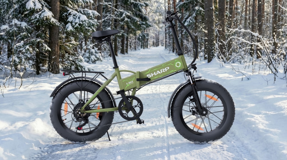 Sharp FS08_GG_1-winter.jpg