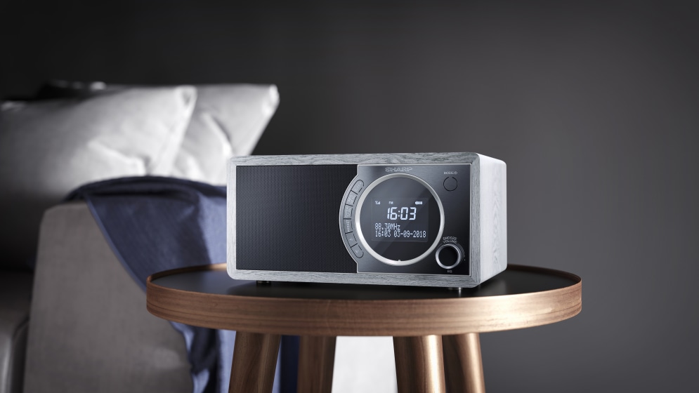 DR-450 grey.jpg