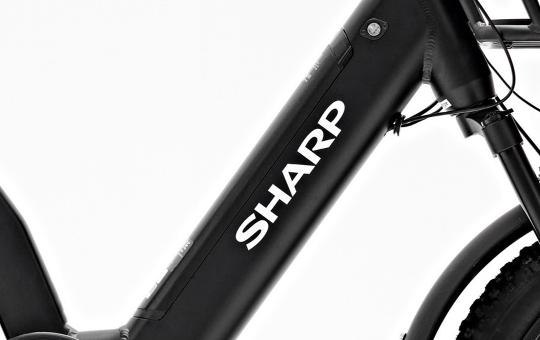 Sharp UM03_B_Battery.jpg