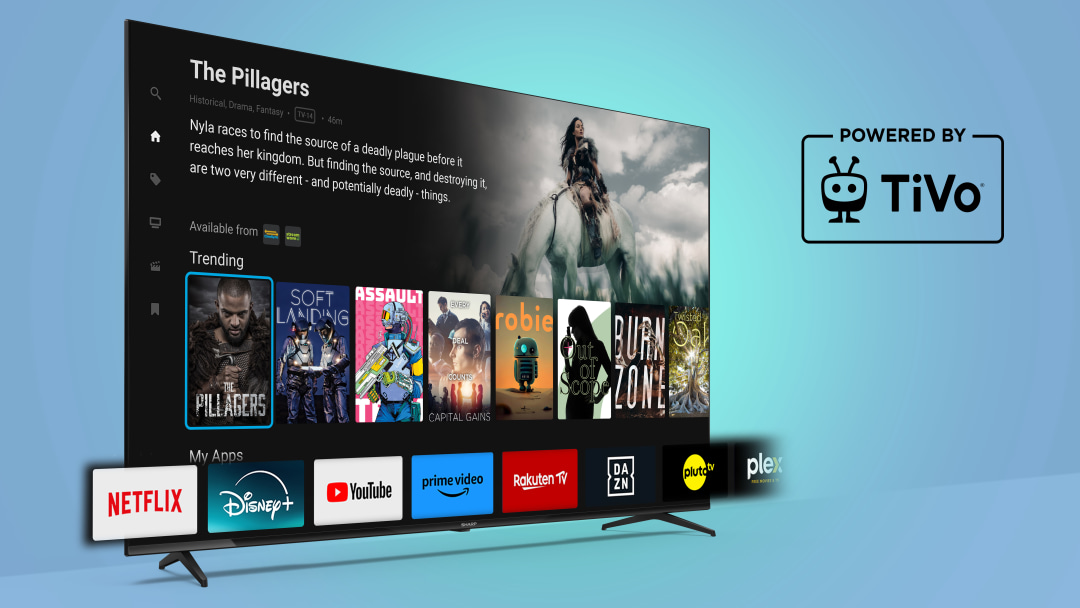 tivo-Powered by TiVo.jpg