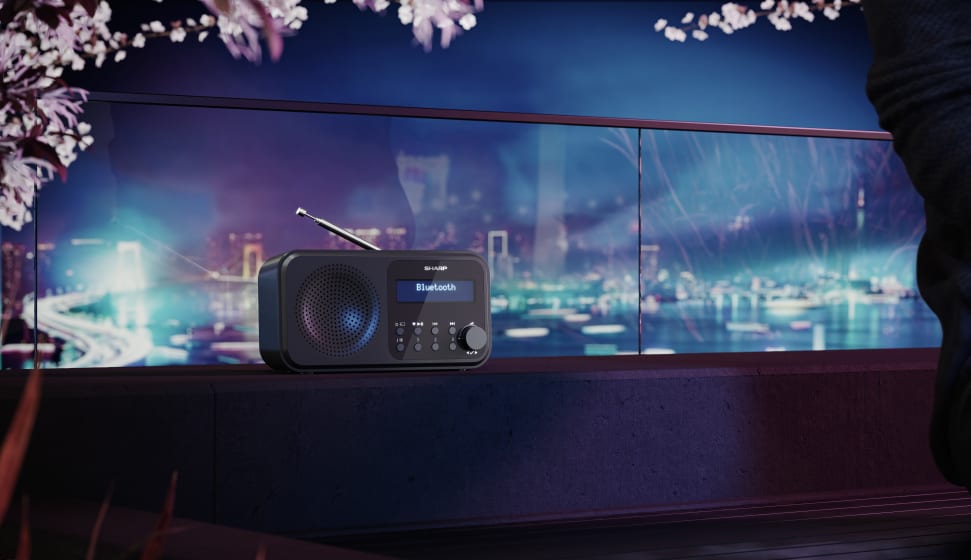 Radio DAB Portatile Con Batteria 1000mAh – FM/DAB+ Ricaricabile, Display LCD, Sveglia E Timer Per Jogging E Viaggi