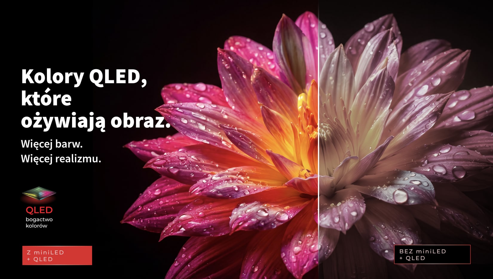 4. Colour Banner.jpg