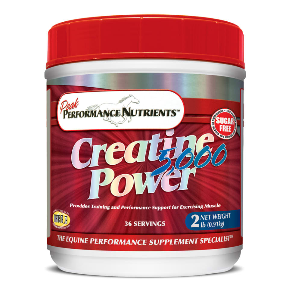 CREATINE POWER 5000