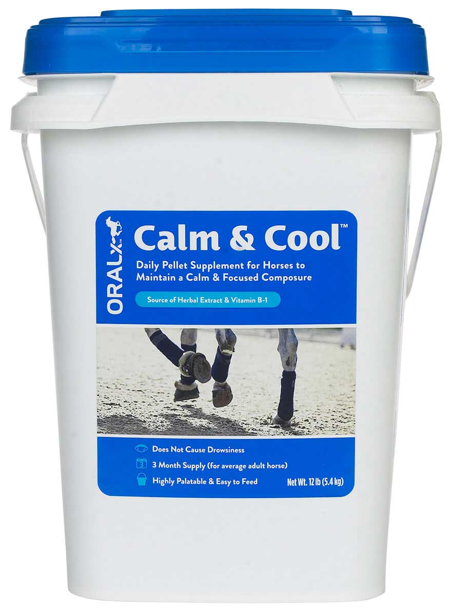 CALM & COOL