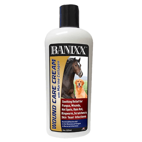 BANIXX