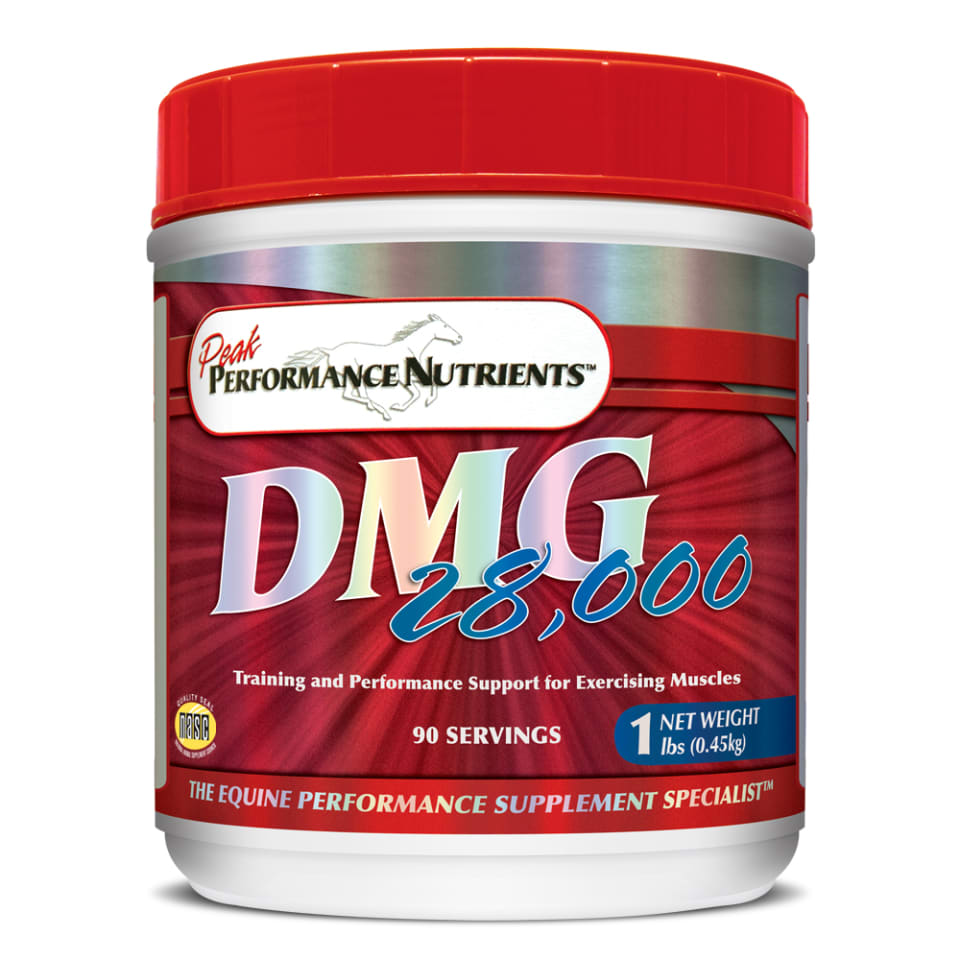 DMG 28000