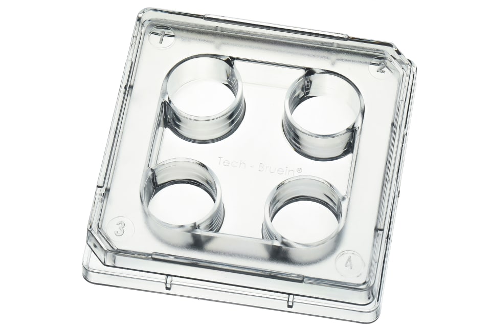 PETRI CAJA DE 4 HUECOS