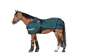 BEMER HORSE SET